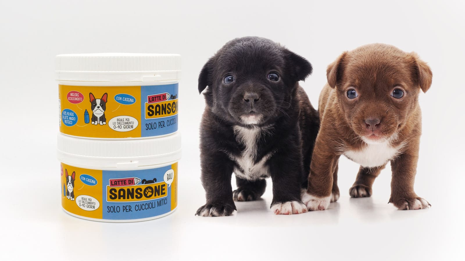 latte di sansone per cuccioli di cane