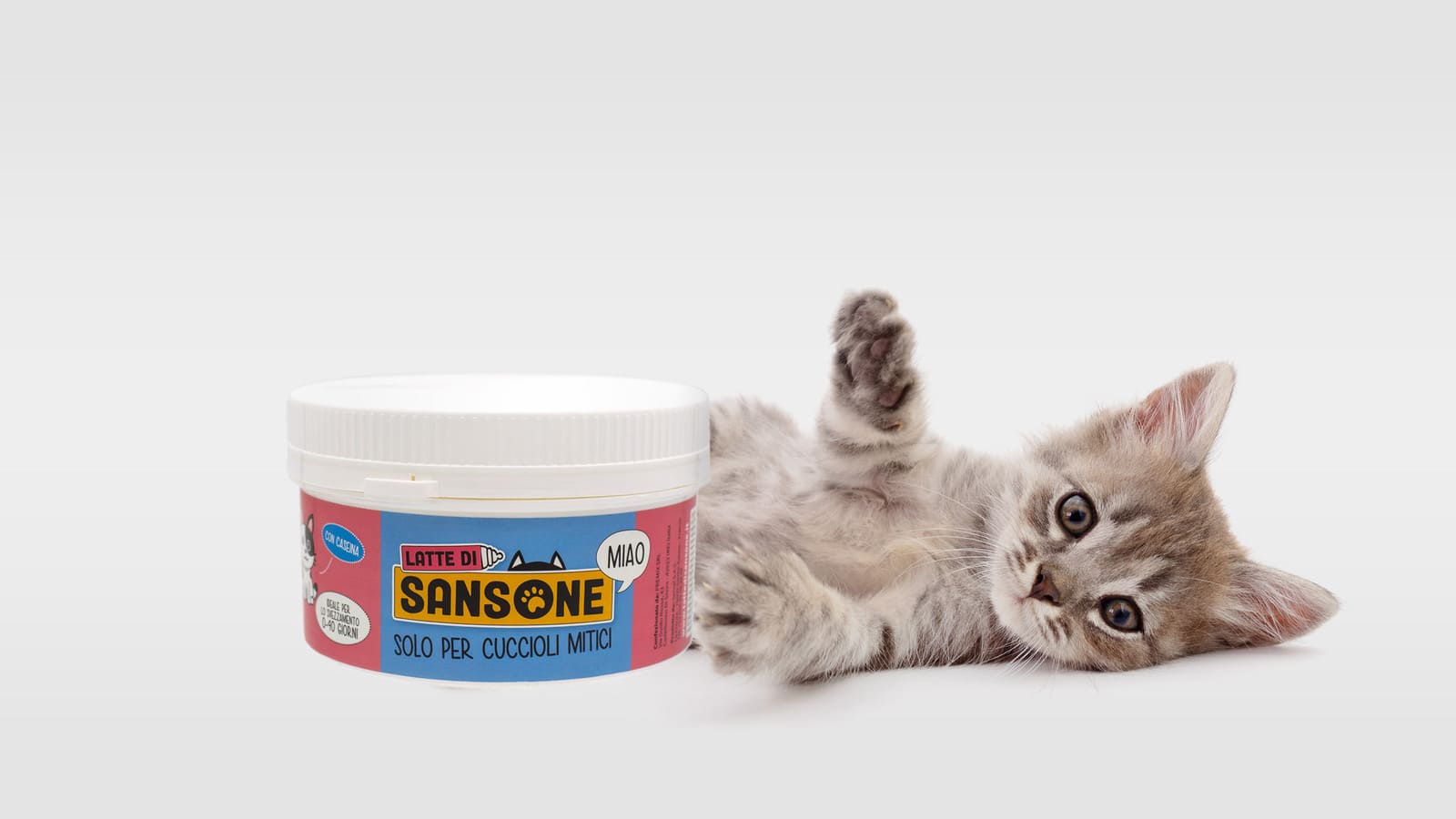 latte di sansone per cuccioli di gatto